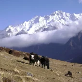 Cultural Trek Nepal