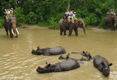 chitwan-elephant-back-safari
