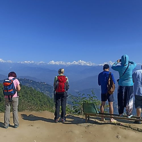 Day Tours