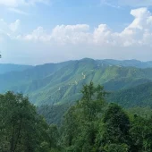 view from Phulchoki