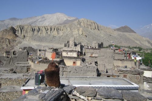 Summer Trekking in Nepal