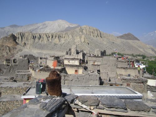 Summer Trekking in Nepal
