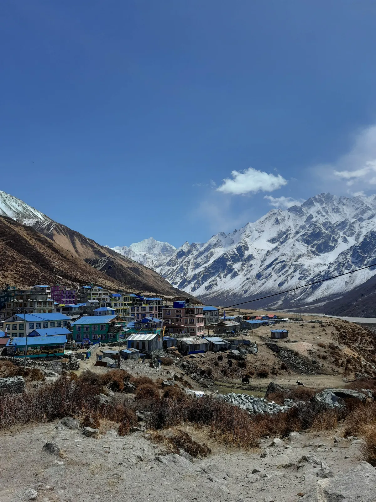Langtang Valley Trek featuring Kyanjin Gompa village surrounded by snow-capped Himalayan peaks under a clear blue sky.
