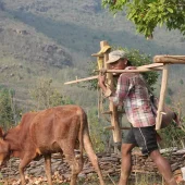 Rural life of Nepal