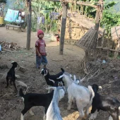 village life of Nepal