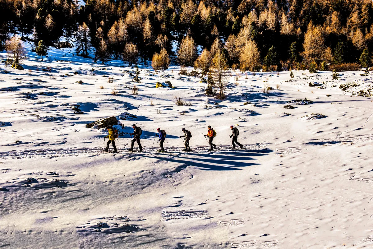 Trekking guide leading hikers across a snowy mountain trail in the Himalayas.